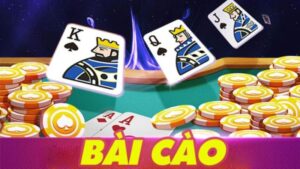 Bài cào